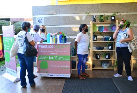 Embalagens plásticas podem ser trocadas por mudas de plantas medicinais em ação do Dia da Árvore 